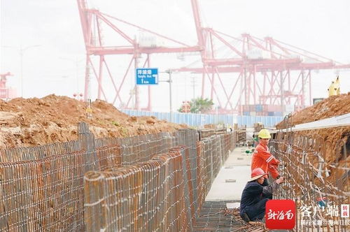 海南自貿(mào)港建設(shè)熱潮 園區(qū)施工如火如荼，瓊州大地氣象煥新